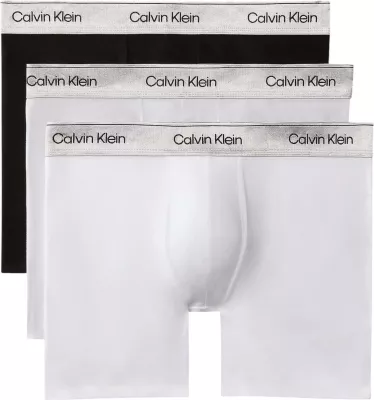 Të brendshme për meshkuj Calvin Klein Underwear LV00NB4576, të zeza - argjendta