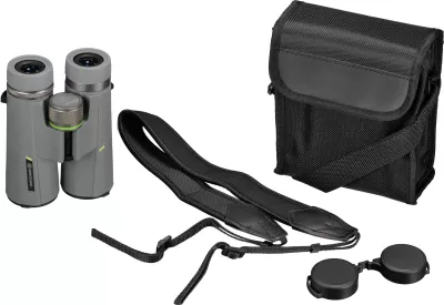 Dylbi Bresser Wave 8x42, gri