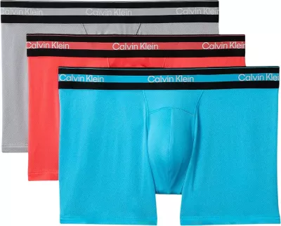 Të brendshme për meshkuj Calvin Klein Underwear LV00NB4536, gri-blu [Madhësia: L]