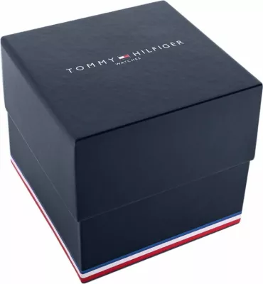 Orë dore për meshkuj Tommy Hilfiger, titanium