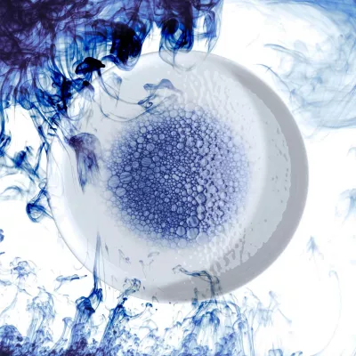 Pjatë për pasta Fine Dine Serenity 260 mm, blu, set 6 copë