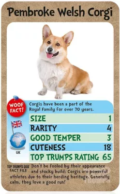 Lojë me karta Winning Moves Top Trumps Dogs, set në kuti plastike