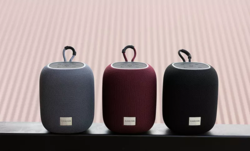 Altoparlant portativ Canyon BSP-8, 10W, Bluetooth, USB Type-C, burgundy