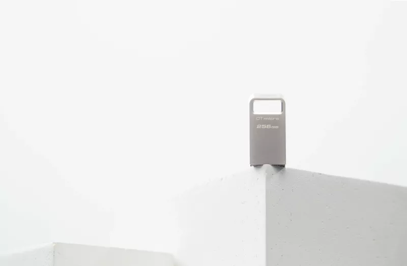USB Kingston DataTraveler Micro 256GB, USB 3.2, metal, silver