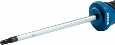 Kaçavidë Torx Bosch Professional TX25 100 mm 1600A01V0C, blu/zezë, 1 copë