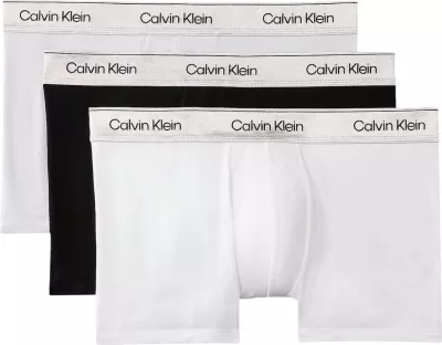 Të brendshme për meshkuj Calvin Klein Underwear LV00NB4575, të zeza - argjendta