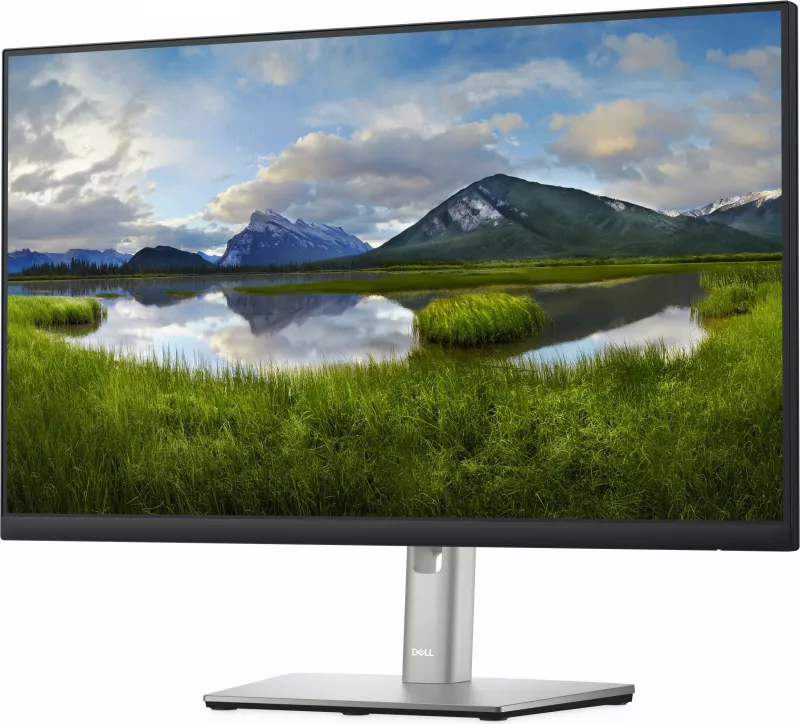Monitor DELL P Series 24 P2422H, 23.8", Full HD, LCD, 8 ms, i zi