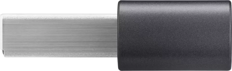 USB flash drive Samsung MUF-256AB, 256 GB, USB 3.2 Gen 1, Gri/Argjend