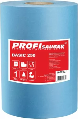 leckë pastrimi industriale Profi Sauber BASIC 250, rol