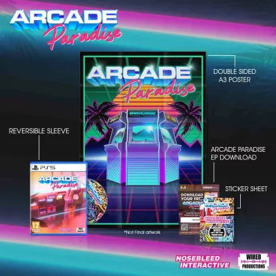 Lojë për PlayStation 4 Wired Productions Arcade Paradise (PEGI 12)