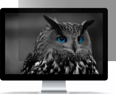 Filtër privatësie Natec RODO OWL 21.5\" 16:9, transparent (NFP-1476)
