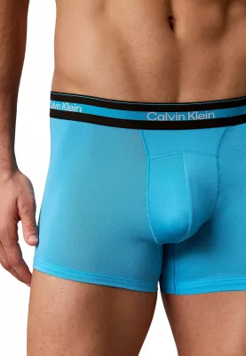 Të brendshme për meshkuj Calvin Klein Underwear LV00NB4536, gri-blu [Madhësia: L]