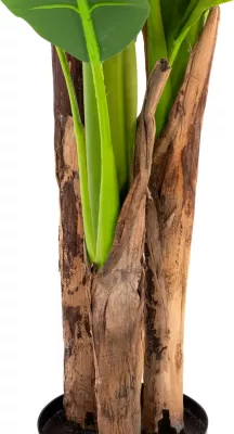 Bimë sintetike dekorative, pema banane në vazo, FH7977, 150H cm