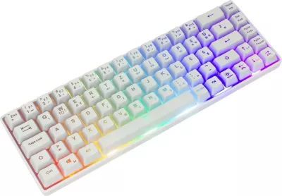 Tastierë gaming White Shark Ronin GK-2201, RGB, USB, e bardhë