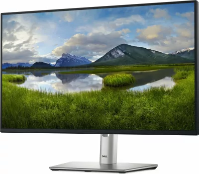 Monitor DELL P Series P2425HE, 24", Full HD, LCD, i zi