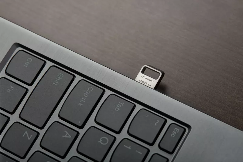 USB Kingston DataTraveler Micro 256GB, USB 3.2, metal, silver
