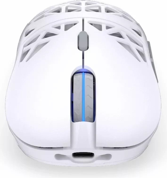 Maus wireless Endorfy LIV Plus Onyx, RGB, i bardhë
