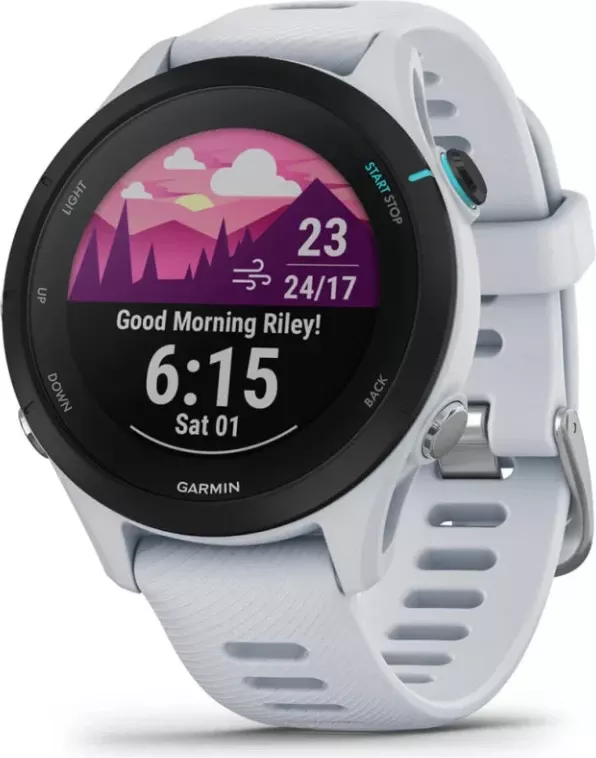 Smartwatch Garmin Forerunner® 255S Music, Powder Grey, 41 mm