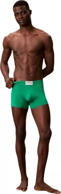 Të brendshme për meshkuj Calvin Klein Underwear TRUNK LV00NB4504, të gjelbra [Madhësia: XS]