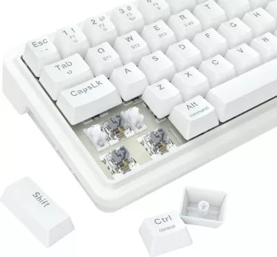 Tastierë mekanike Redragon Draconic V2 K730W-RGB-PRO, 60%, RGB, wireless/wired, e bardhë