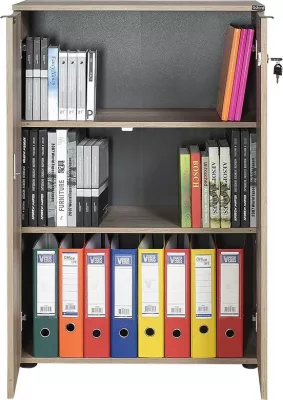 Raft librash Hanah Home, Rkt-332-Tt-1, ngjyrë arre e çelët
