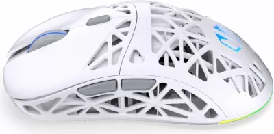 Maus wireless Endorfy LIV Plus Onyx, RGB, i bardhë