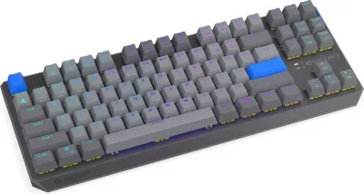 Tastierë mekanike wireless Endorfy Thock V2 TKL, RGB, 87 taste, gri