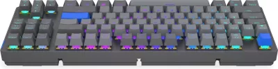Tastierë mekanike wireless Endorfy Thock V2 TKL, RGB, 87 taste, gri