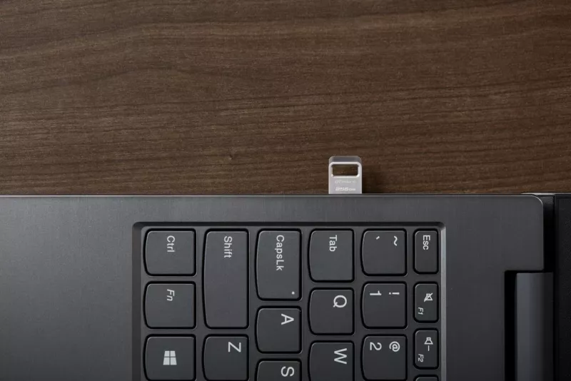 USB Kingston DataTraveler 256GB, Metal, Argjendtë